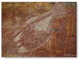 Kakadu  NP - Felszeichnungen bei Ubirr