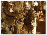 La Grotte des Demoiselles