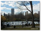 Ice sklating in Central Park	